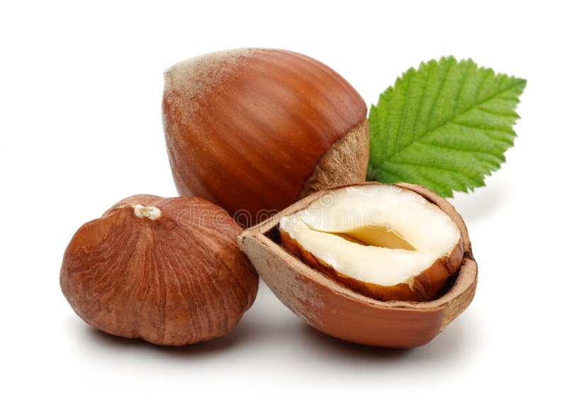 Group Of Hazelnuts With Green Leaf Stock Image Image Of Nutrition