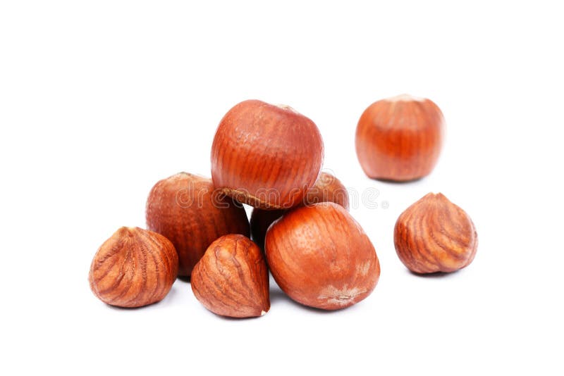 Group hazelnuts stock photo. Image of hazelnuts, hazelnut 80973716