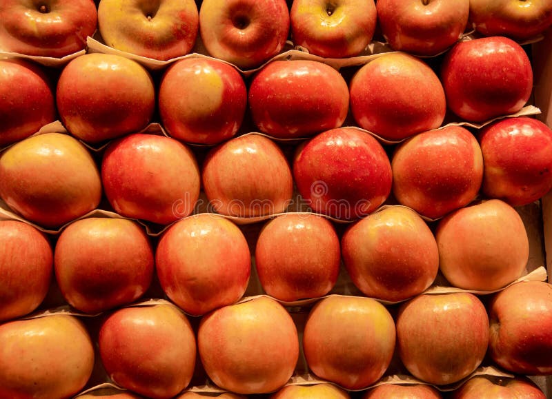 Group of Healthy Fresh Apple Fruits on a Fruit Market Stock Image
