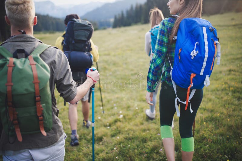 Group of Hikers with Backpacks and Sticks Walking on Mountain. Friends