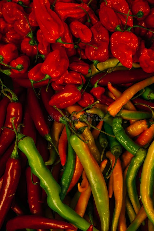 Group of hot chili peppers stock image. Image of vegan 234544313