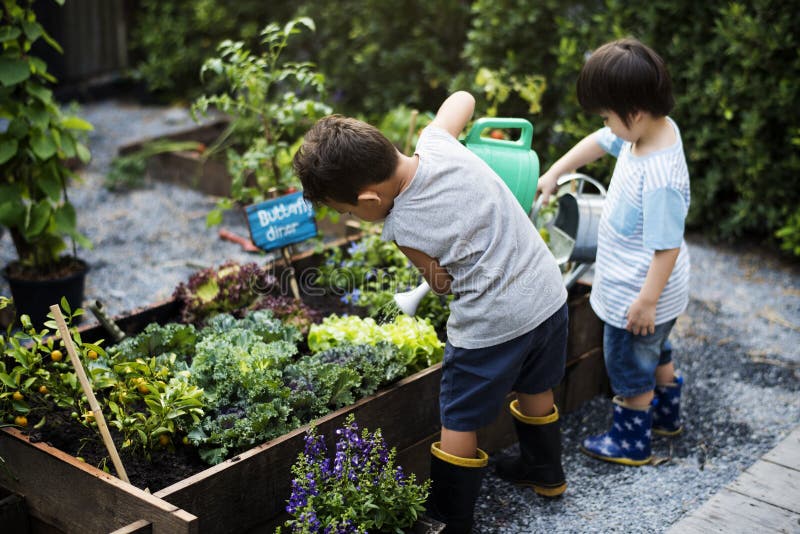 Group of kindergarten kids learning gardening outdoors stock images