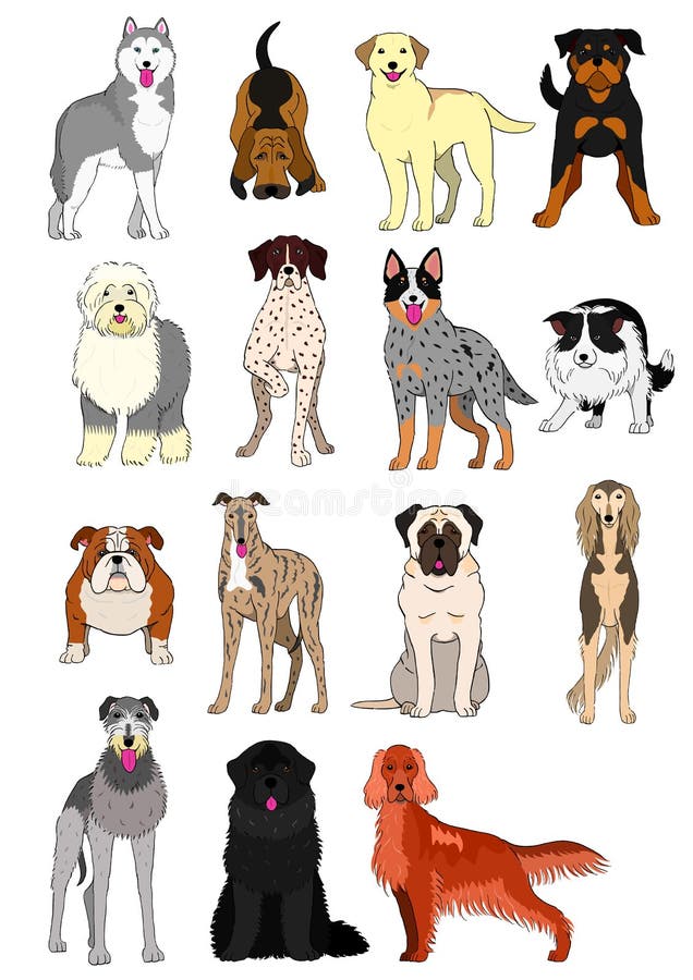 Kinds Of Dogs Chart
