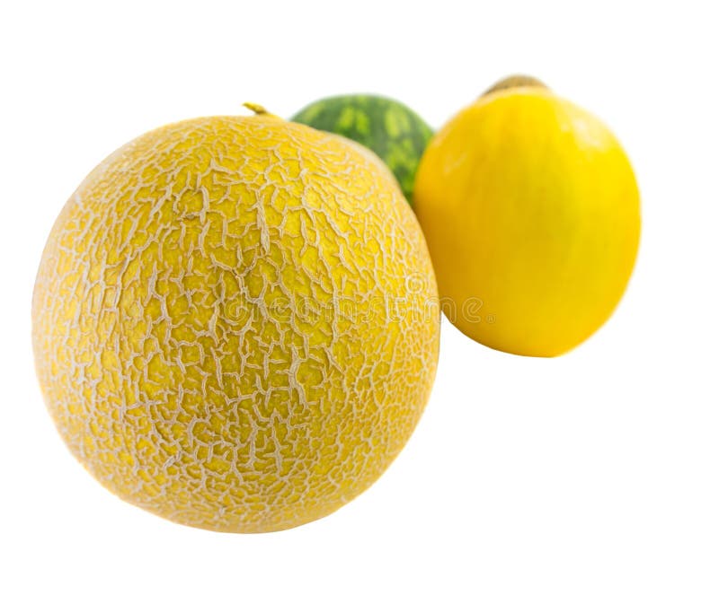 A Group of Melons IV stock photo. Image of group, watermelon 31745216