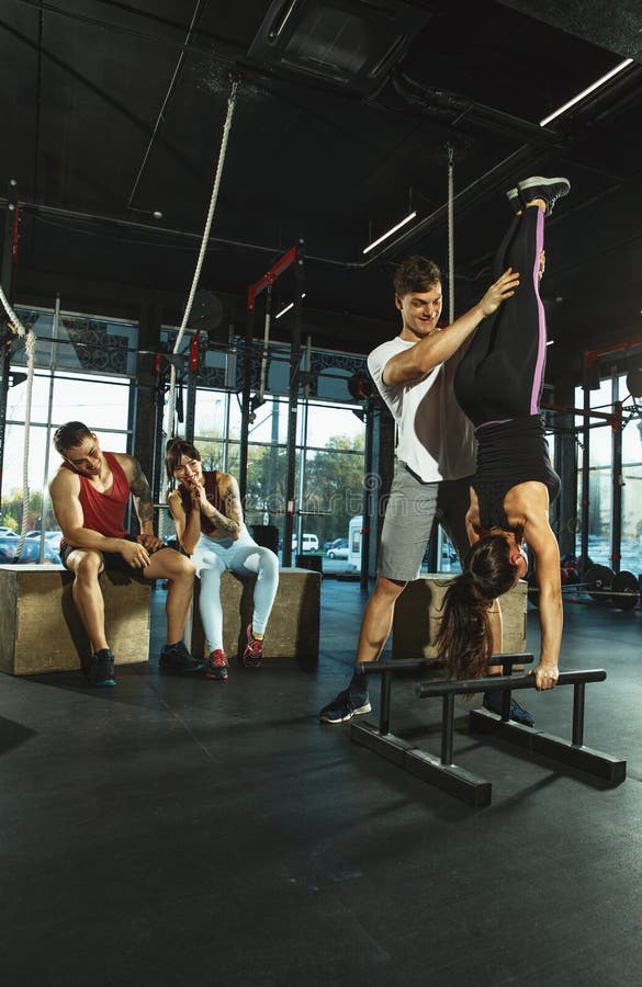A Group of Muscular Athletes Doing Workout at the Gym Stock Image ...