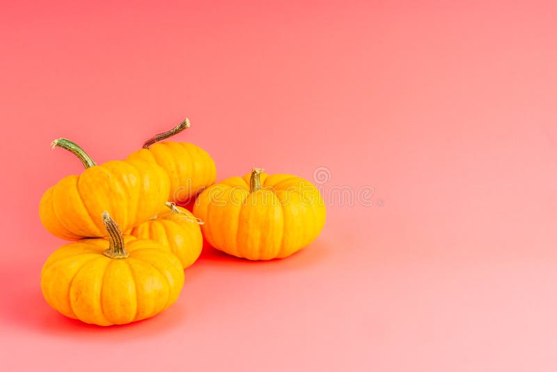2,049 Pink Orange Pumpkins Stock Photos Free & RoyaltyFree Stock