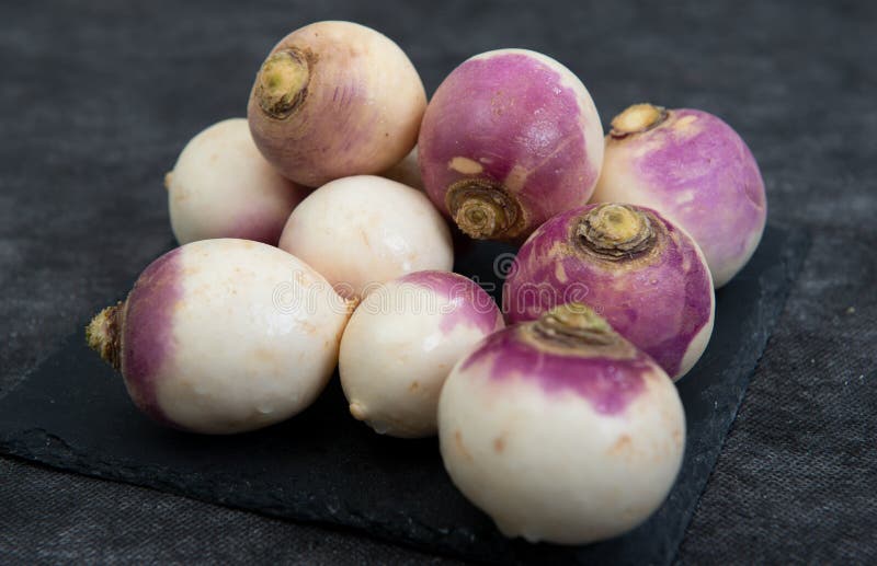 Turnip stock image. Image of plant, lifestyle, purple 49828945
