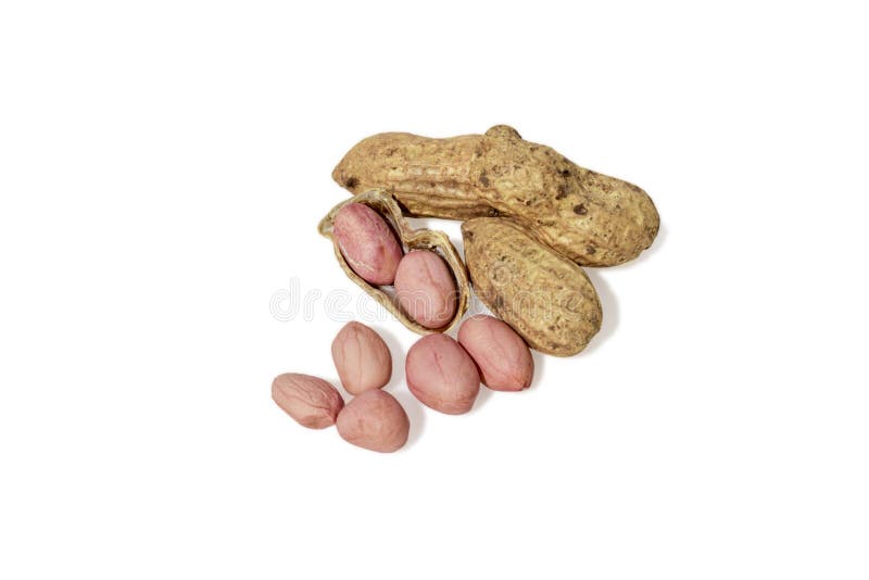 Group of peanuts stock image. Image of healthy, refreshment 255934601
