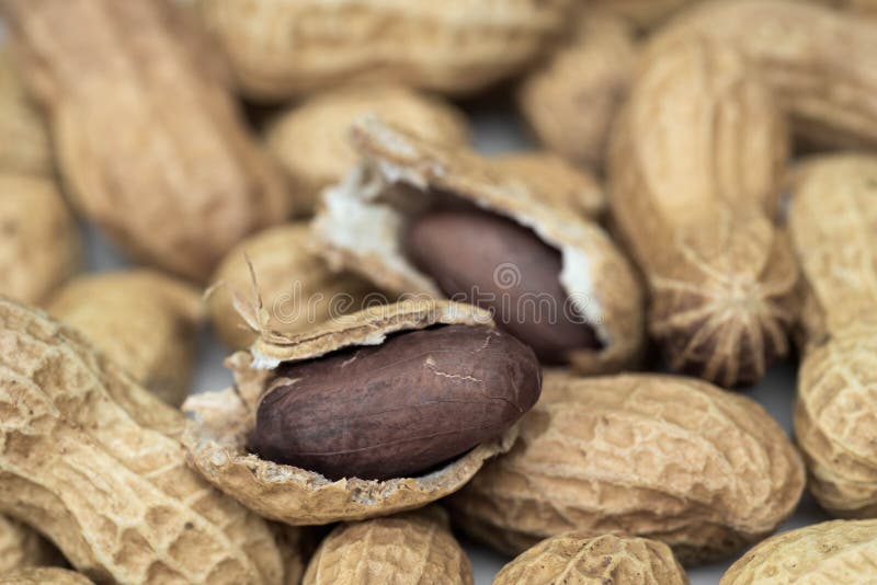Group of peanuts stock image. Image of white, group, nutshell 40345765
