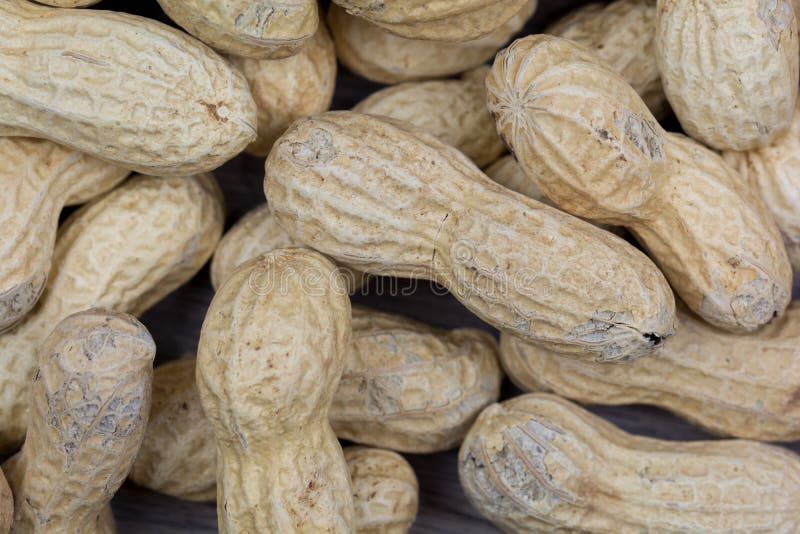 Group of peanuts stock photo. Image of snack, vegan, food 64704536