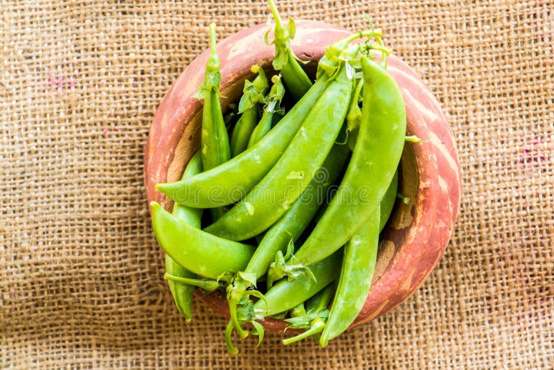 Group of peas in clay pot stock image. Image of closeup - 62770481