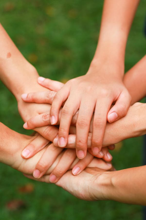 What is the difference between a holding company and a …