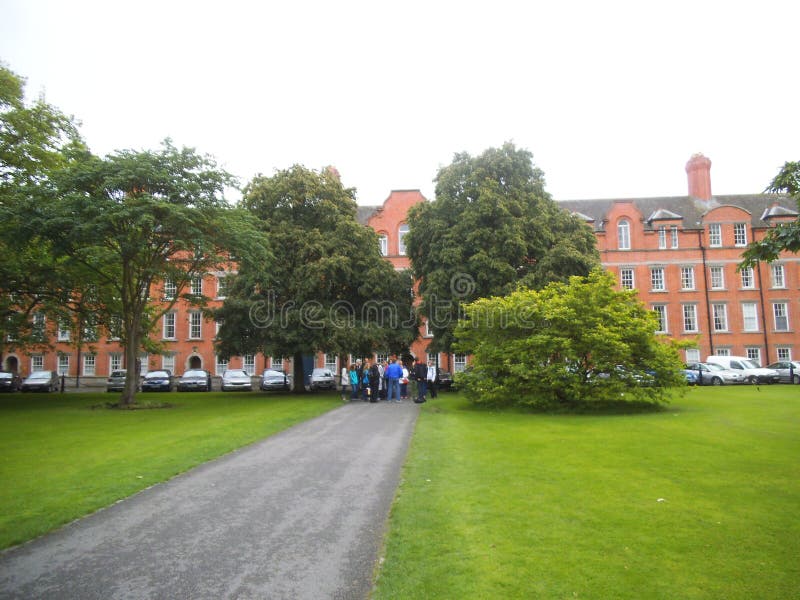 A group of people standing ander trees in Dublin. A small street and green grass is also visible