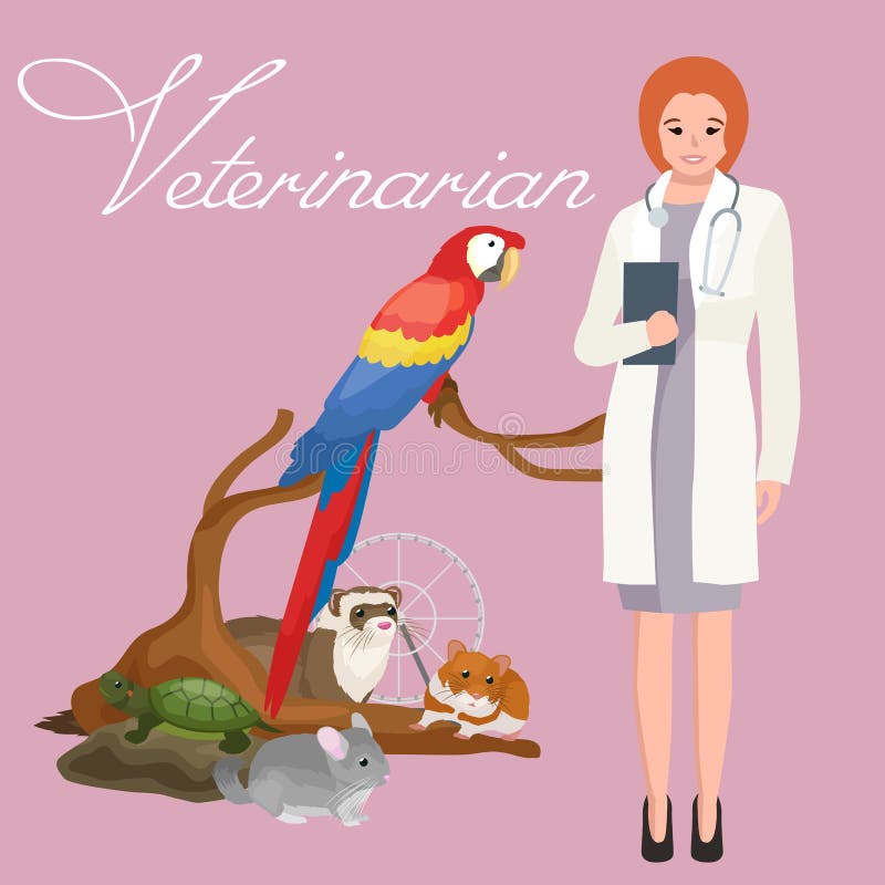 Pets and veterinary icons stock illustration. Illustration of isolated ...