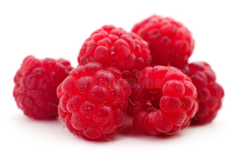 Group of raspberries stock image. Image of isolated 271717207