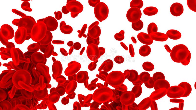 Red blood cells isolated on white background. vector illustration