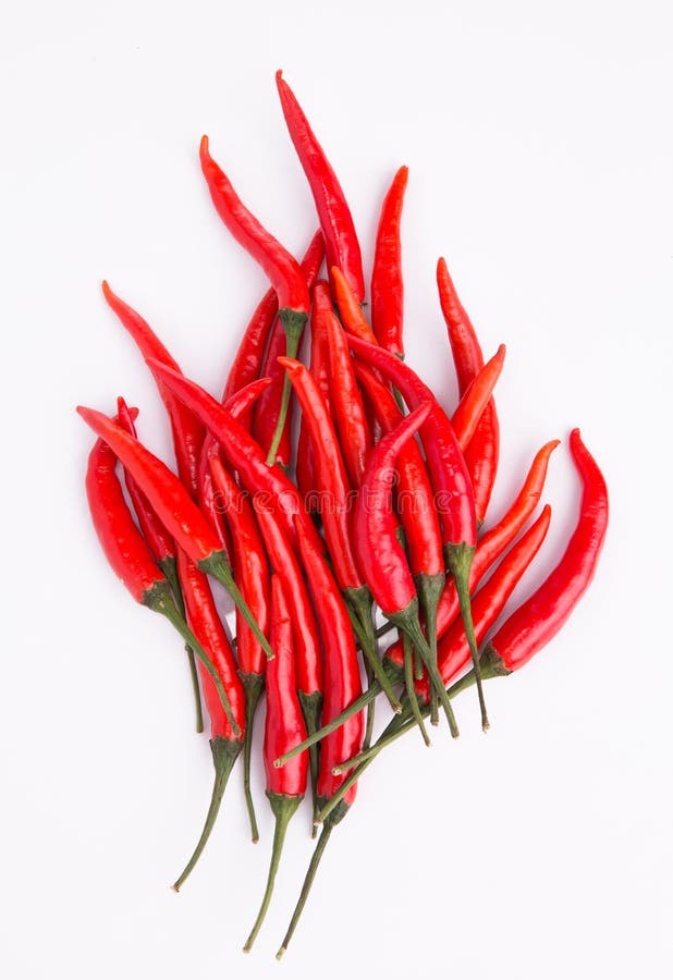 Explosive Hot Chili, Red Hot and on Fire Red Chili Pepper. Stock Photo