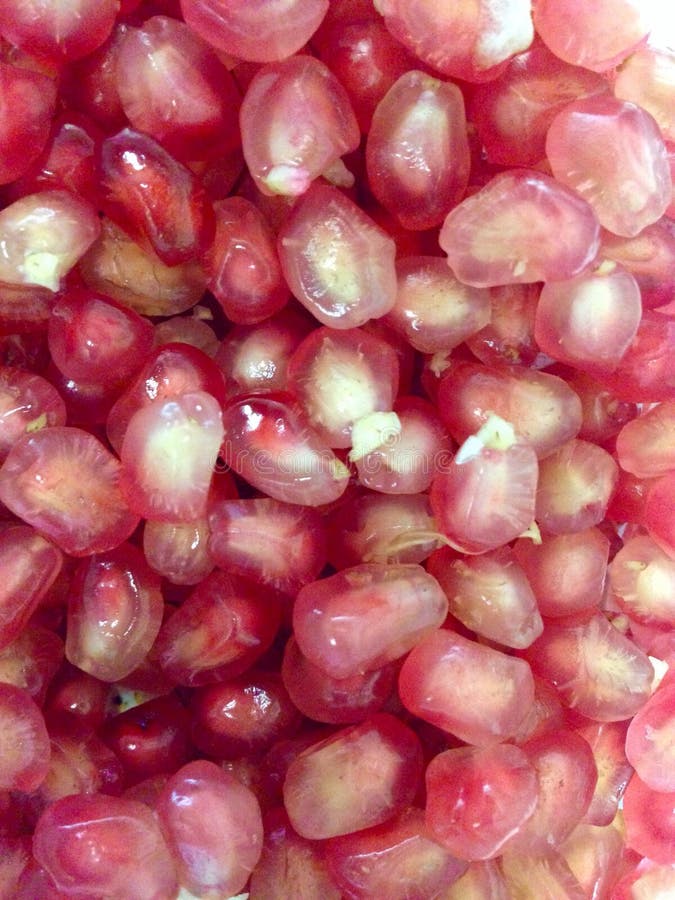 rubyfruit rubyfruit