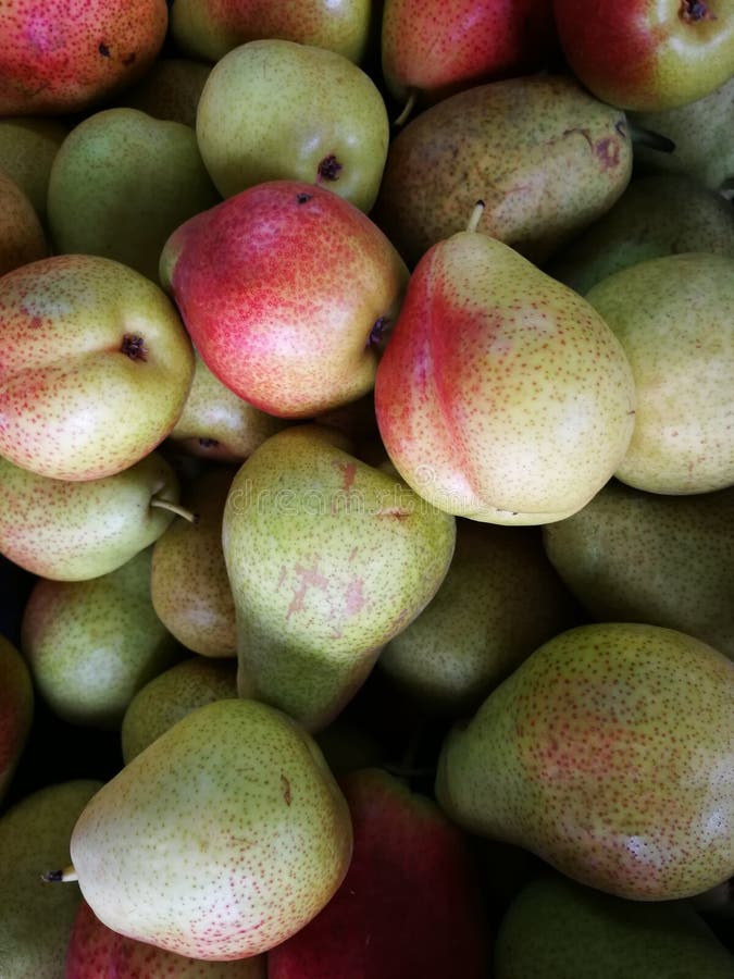 Group of ripe fresh pears stock image. Image of natural 118924963