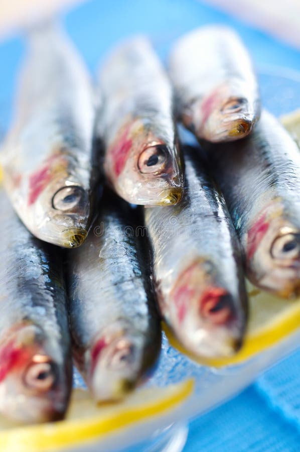 Group of sardines on lemon slices