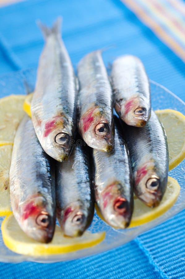 Group of Sardines on Lemon Slices Stock Photo Image of lemon
