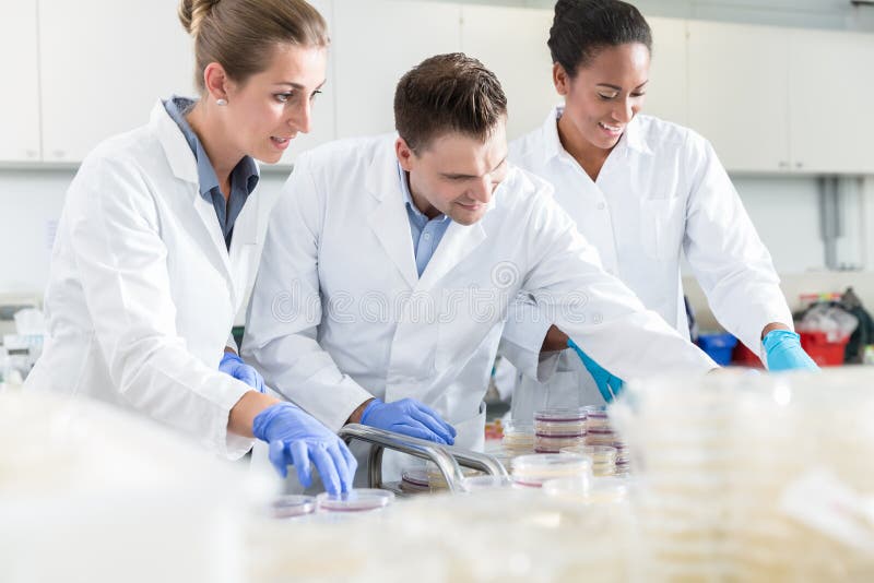 Group of scientists in food laboratory with samples in petri dis royalty free stock image Group of scientists in food laboratory with samples in petri dis royalty free stock image