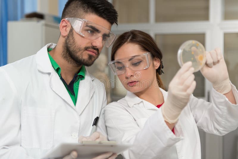 Group of Scientists Working at the Laboratory Stock Image Image of