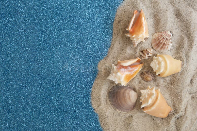 Conchs and shells stock photo. Image of island, backdrop 50877530