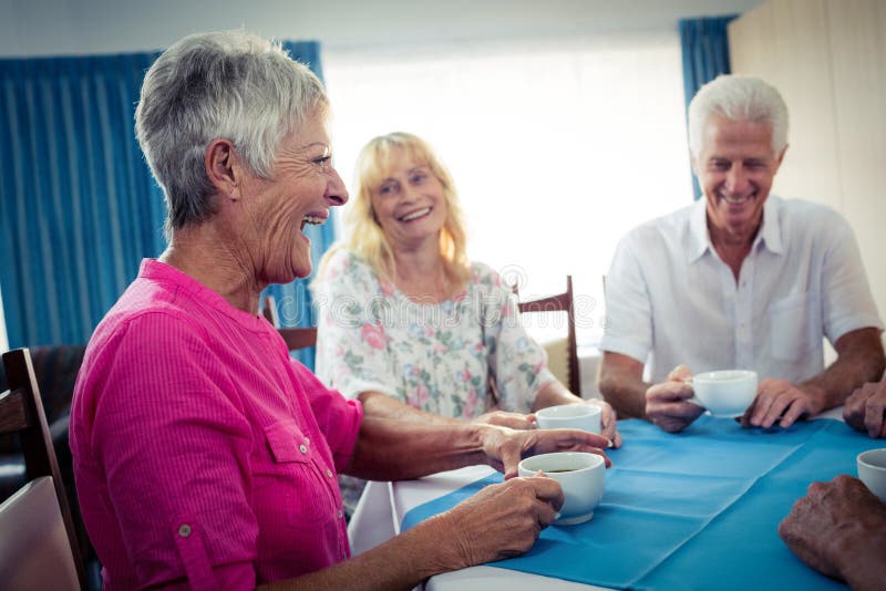 Group of Seniors Drinking Coffee Stock Photo Image of conversation, citizen 77847068