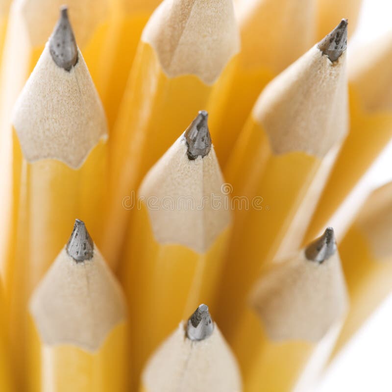 Group of sharp pencils.