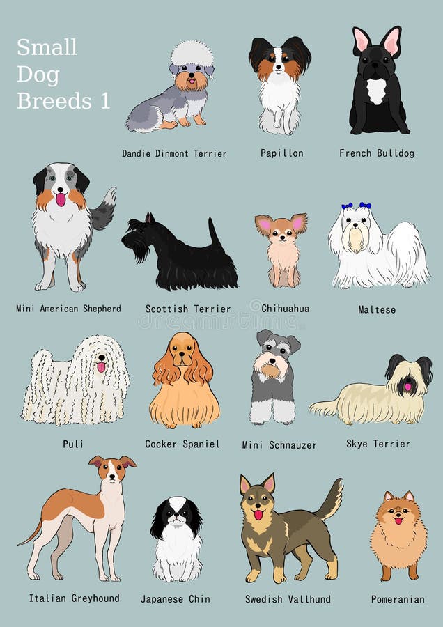 Dog Breed Chart With Names