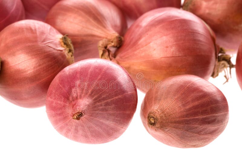 Small Onions Isolated stock image. Image of natural, produce 5889593