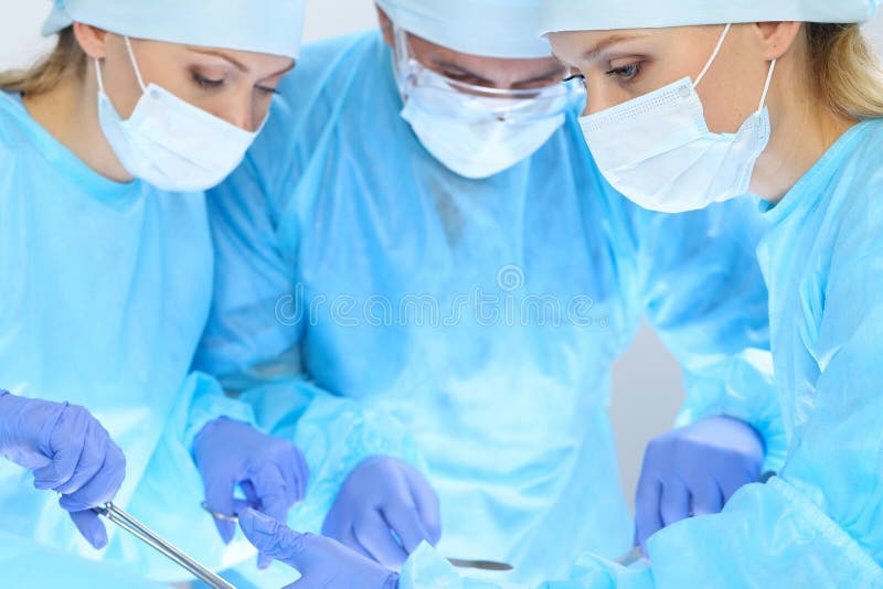 Group of surgeons at work while operating at hospital. Health care and veterinary concept stock image Group of surgeons at work while operating at hospital. Health care and veterinary concept stock image