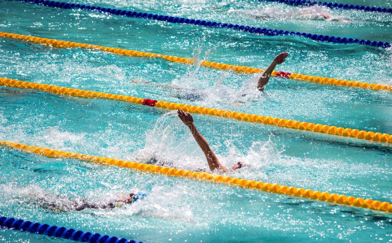 Group of swimmers in the pool during a swimming competition stock photography