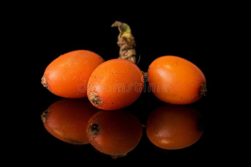 Sea buckthorn berry isolated on black glass