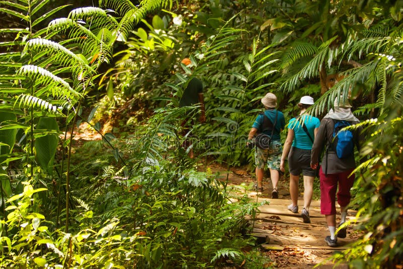 Group of trekkers hike through green jungle