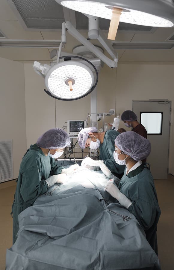 Group of Veterinarian Surgery in Operation Room Stock Photo Image of