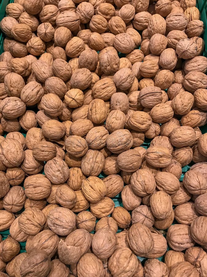 Group of fresh walnuts stock photo. Image of ingredient 21131050