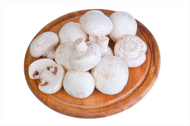 Group of white field mushroom on wood plate.