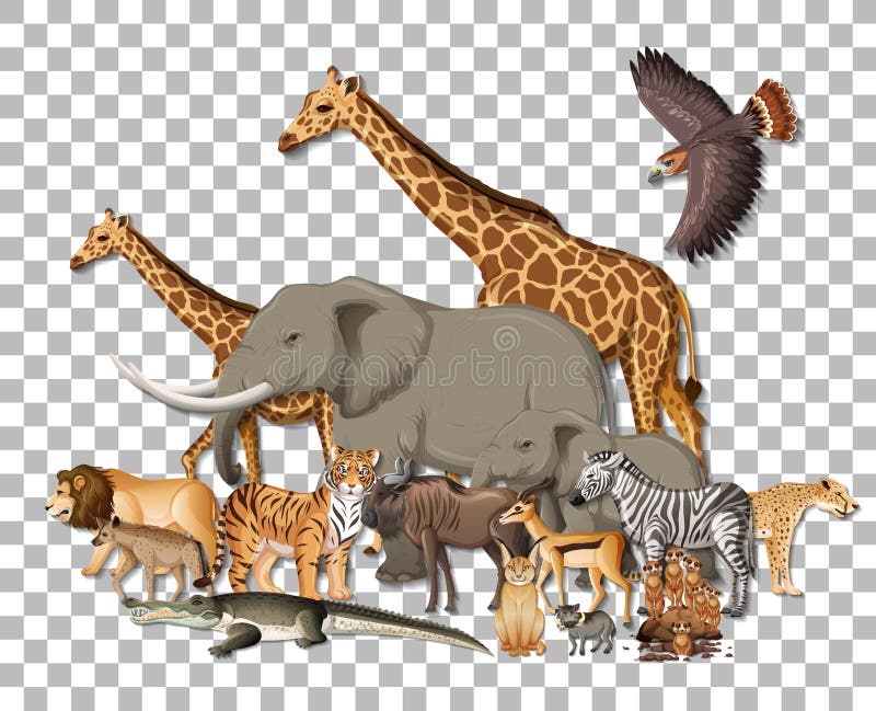 Jungle Animals Transparent Background Stock Illustrations – 192 Jungle Animals  Transparent Background Stock Illustrations, Vectors & Clipart - Dreamstime