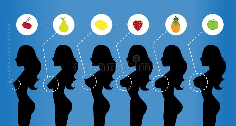 Group of Woman Breast Size, Stock Illustration - Illustration of adult,  breasts: 59178584