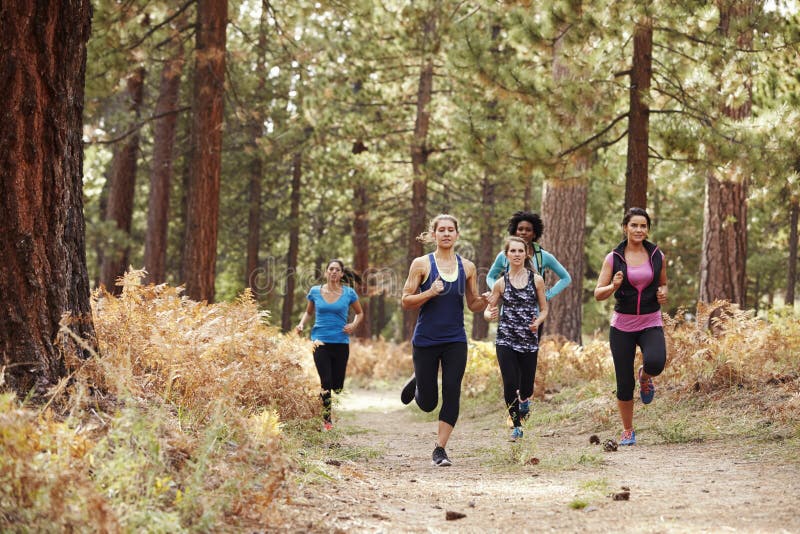 Group of young adult women running in a forest stock image Group of young adult women running in a forest stock image