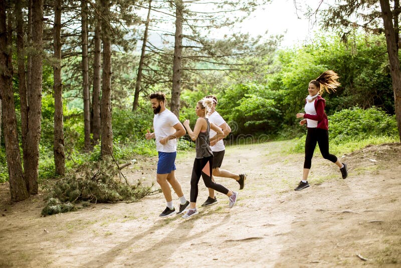 Group of Young People Run a Marathon through the Forest Stock Photo Image of recreation