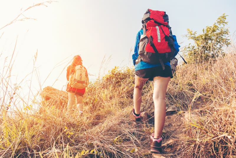 Group young women of hikers walking with backpack on a mountain at sunset.