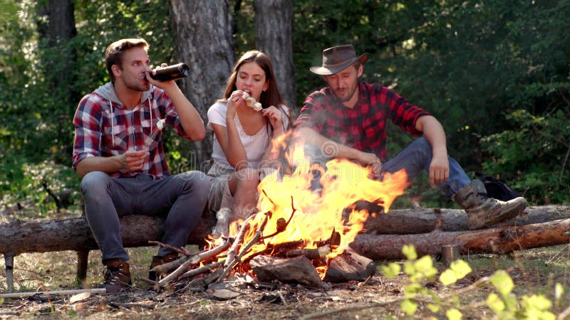 Groupe d'amis heureux rôtissant des guimauves sur le feu de camp. Jeunes amis heureux ayant un pique-nique. Pique-nique du week-en banque de vidéos