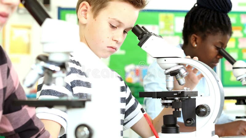 Groupe d'élèves à l'aide des microscopes dans la classe de la Science