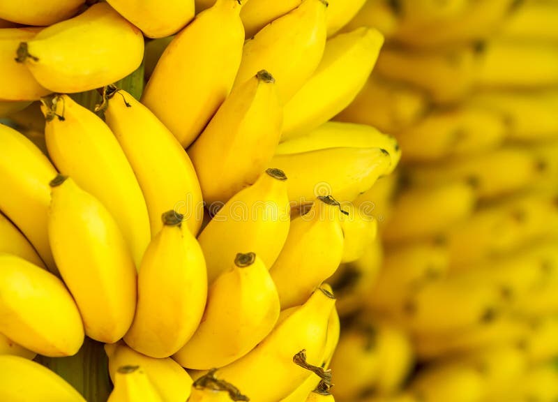 Groupe de bananes mûres