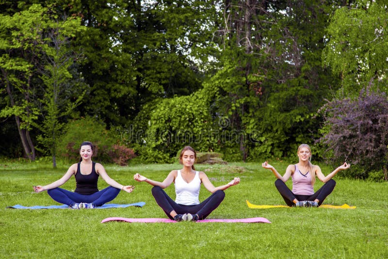 Groupe de belles jeunes femmes gluantes en bonne santé faisant des exersices sur l'herbe verte en parc, situant dans des poses de photo stock Groupe de belles jeunes femmes gluantes en bonne santé faisant des exersices sur l'herbe verte en parc, situant dans des poses de photo stock