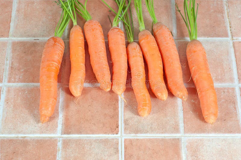 Groupe de carottes dans la cuisine, sur un fond de tuile images libres de droits Groupe de carottes dans la cuisine, sur un fond de tuile images libres de droits