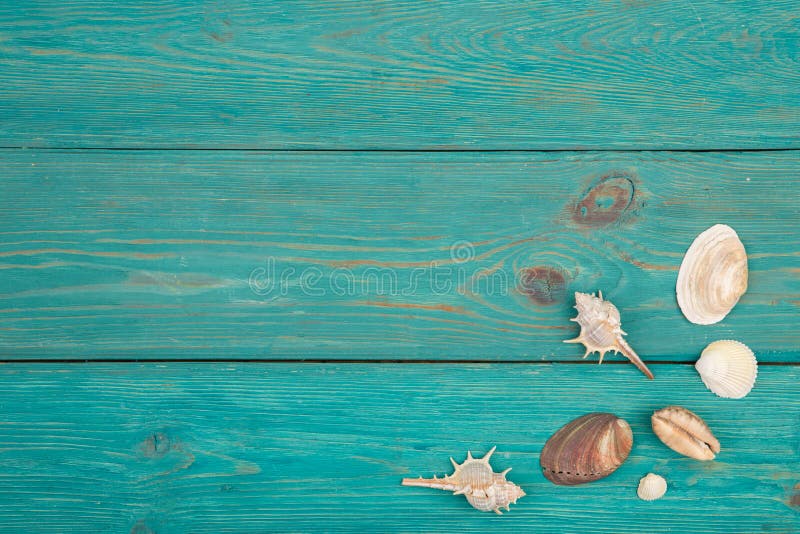 groupe de coquilles de mer sur le fond en bois bleu images stock groupe de coquilles de mer sur le fond en bois bleu images stock